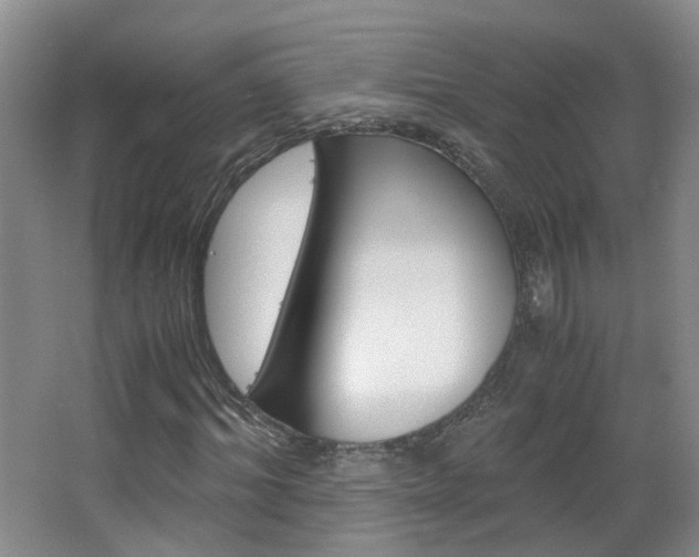 X0000063520964200601201121