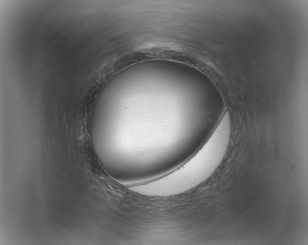X0000063520965200601201121