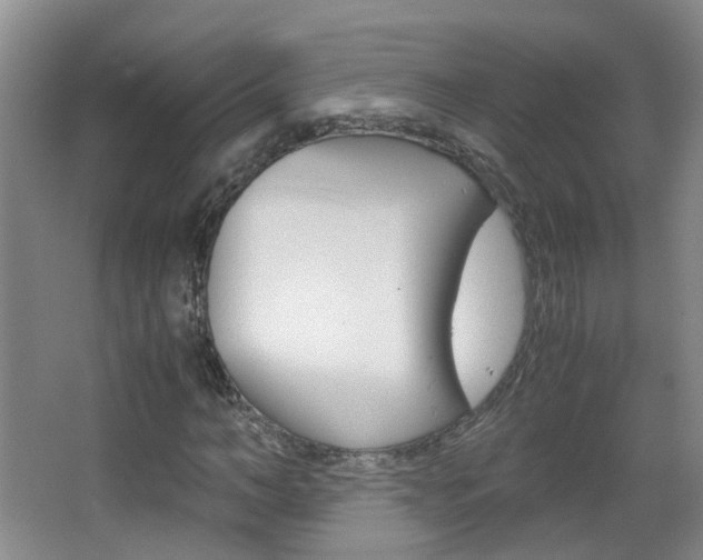 X0000063520966200601201121