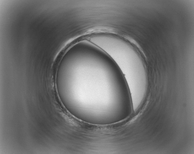 X0000063520973200601201121