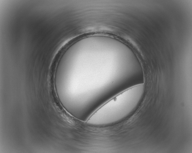 X0000063520975200601201121