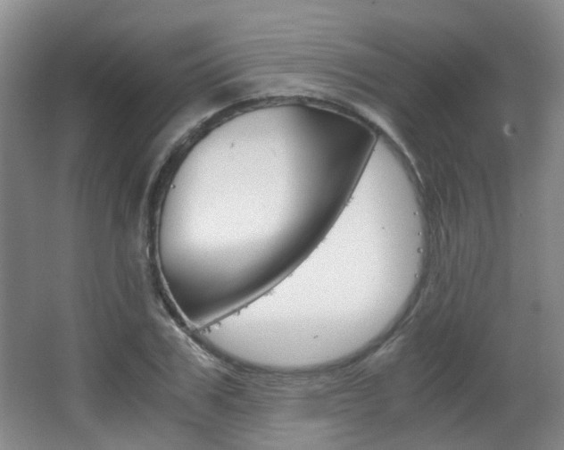 X0000063520979200601201121