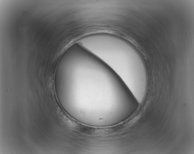 X0000063520985200601201121
