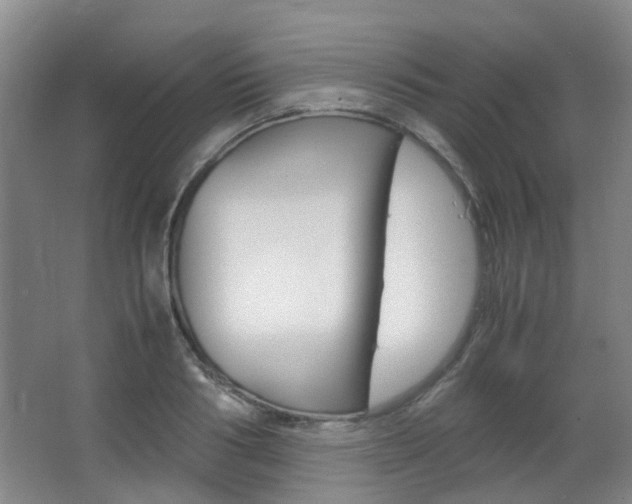 X0000063520986200601201121