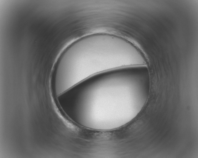 X0000063520991200601201120