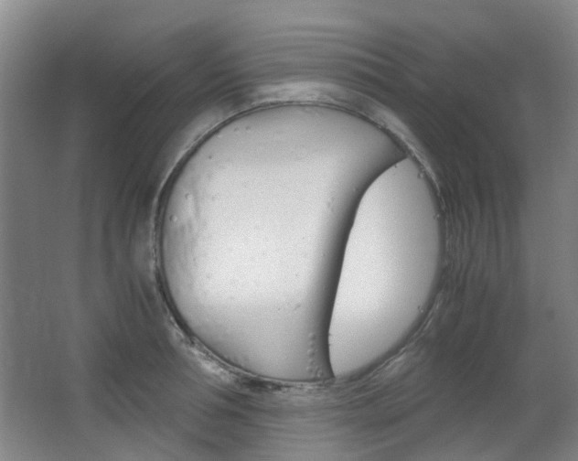 X0000063520994200601201120
