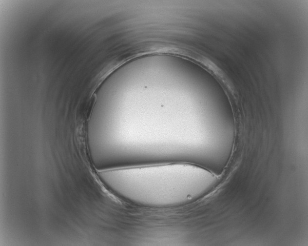 X0000063521001200601201120