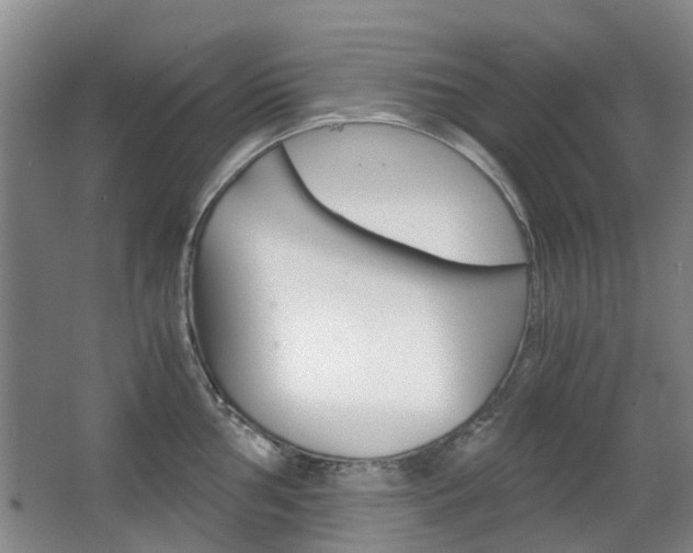 X0000063521002200601201120