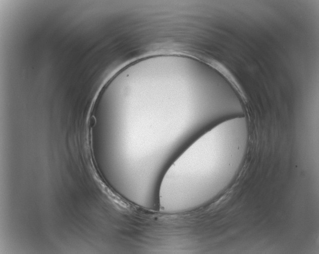 X0000063521004200601201120