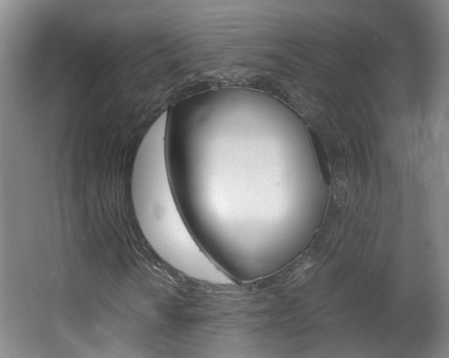 X0000063521010200601201119