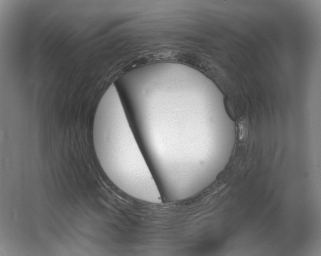 X0000063521011200601201119