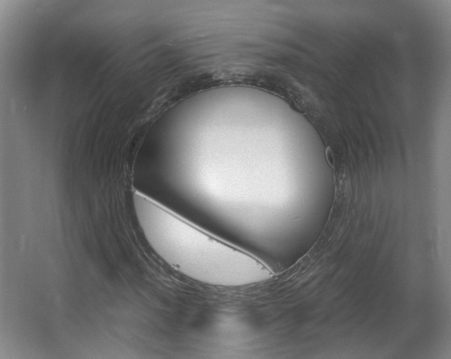 X0000063521012200601201119
