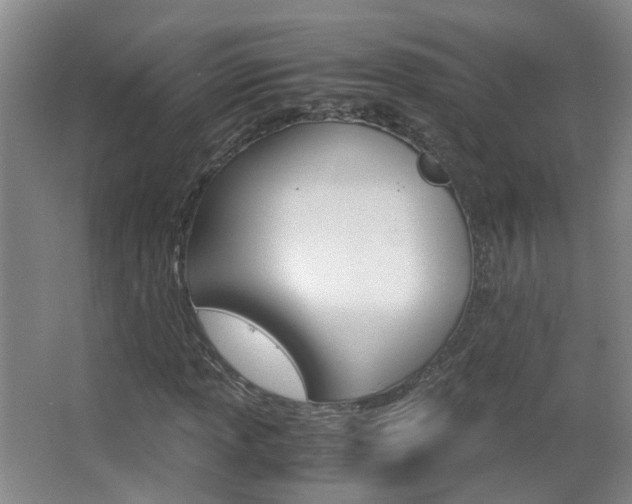 X0000063521013200601201119