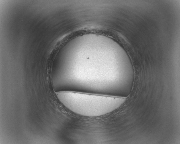 X0000063521016200601201119