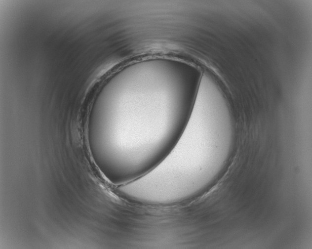 X0000063521018200601201120