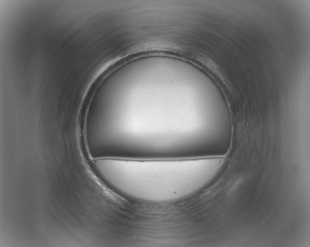 X0000063521024200601201120