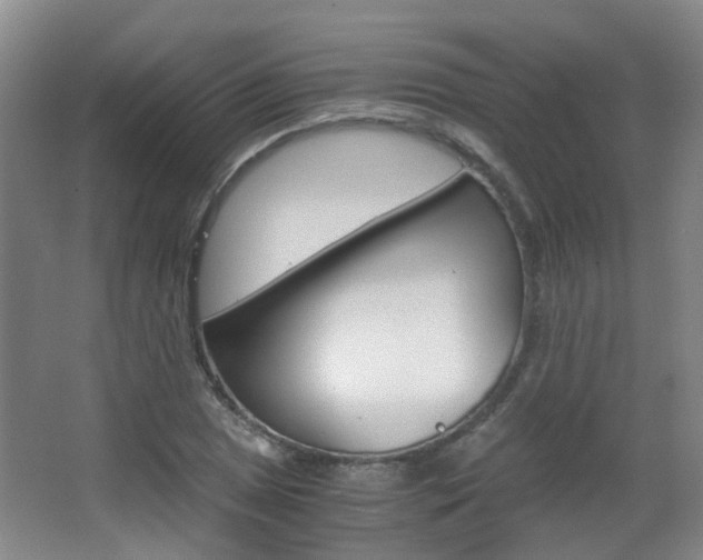 X0000063521025200601201120
