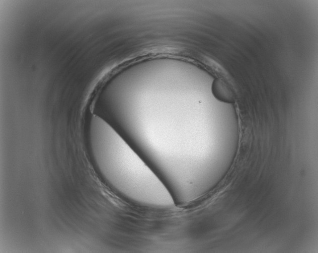 X0000063521027200601201120