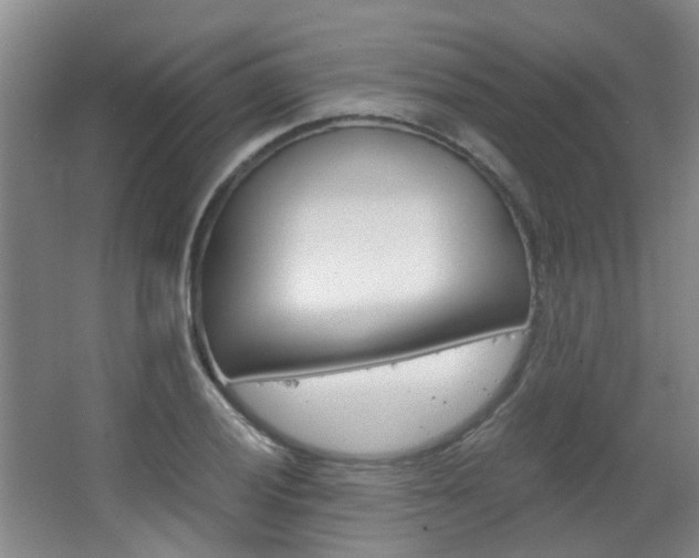X0000063521028200601201120