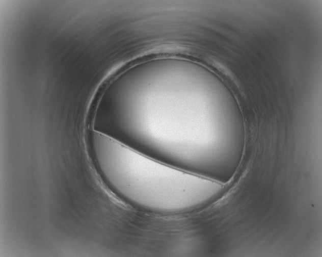 X0000063521029200601201120