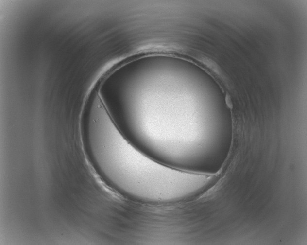 X0000063521030200601201120