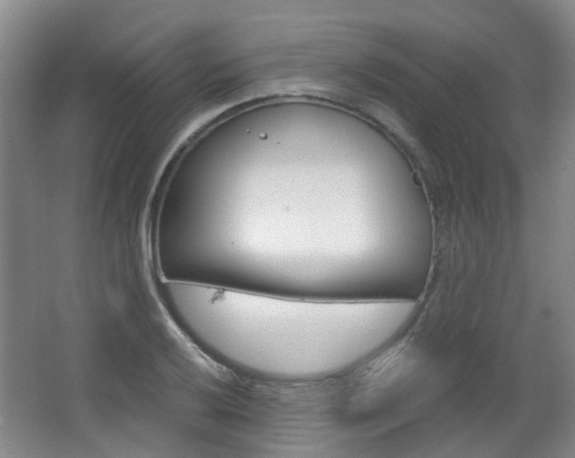 X0000063521032200601201120