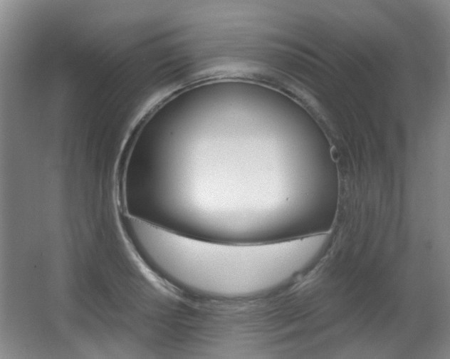 X0000063521034200601201120