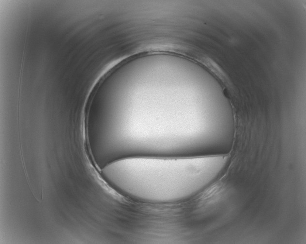 X0000063521036200601201120