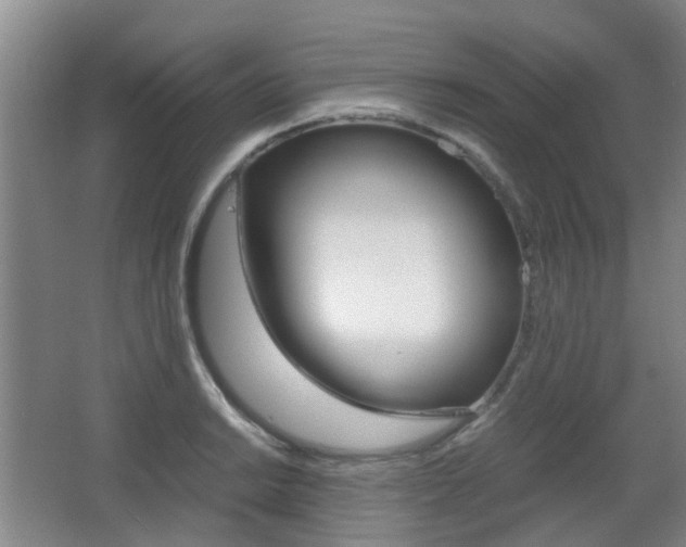 X0000063521038200601201120