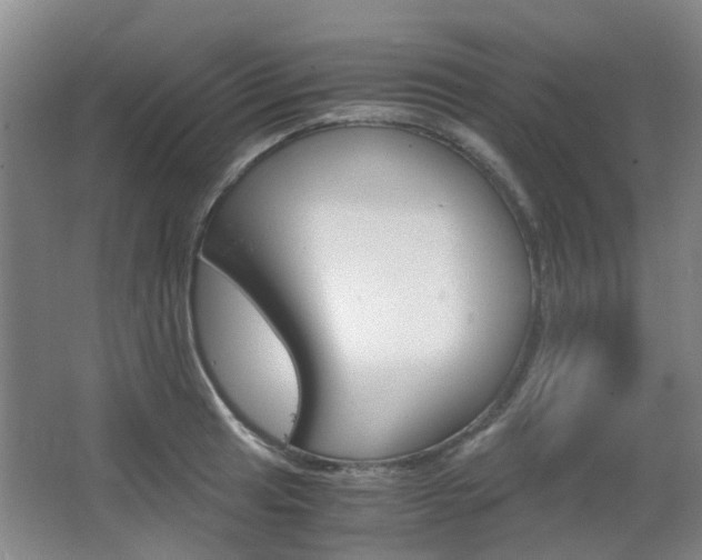 X0000063521041200601201120