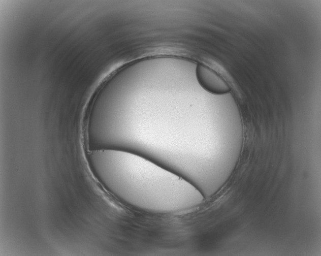 X0000063521043200601201120
