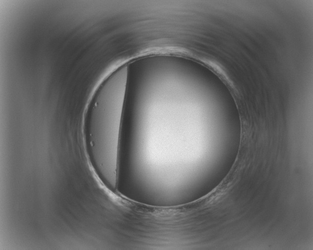 X0000063521046200601201120