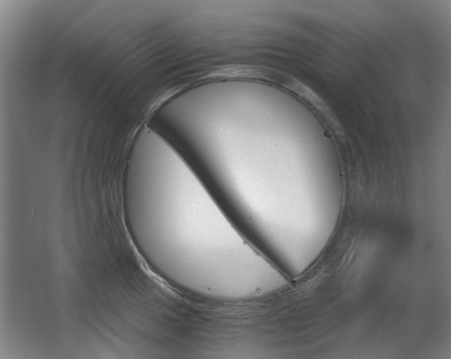 X0000063521049200601201120