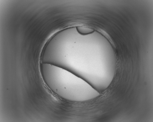 X0000063521051200601201120