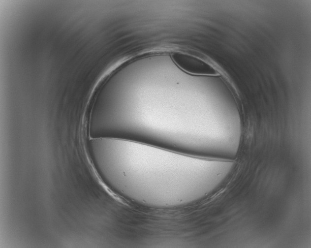 X0000063521053200601201120