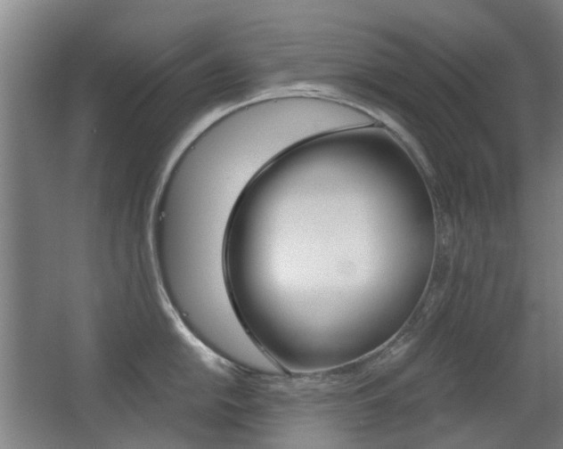 X0000063521054200601201120