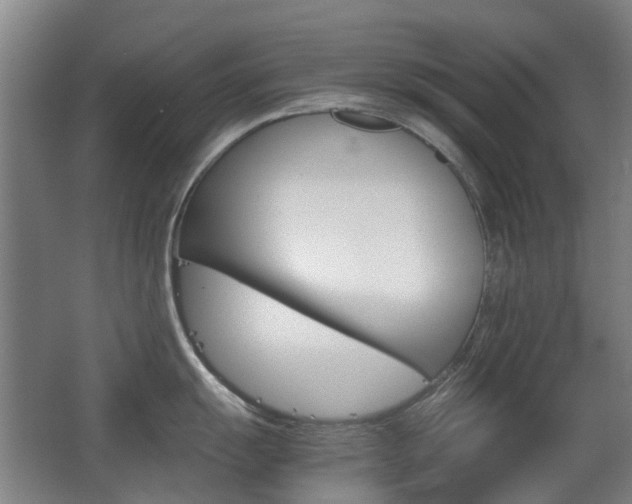 X0000063521055200601201120