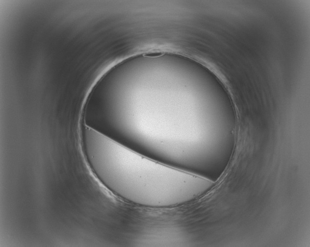 X0000063521056200601201120