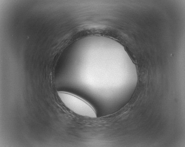 X0000063521061200601201119