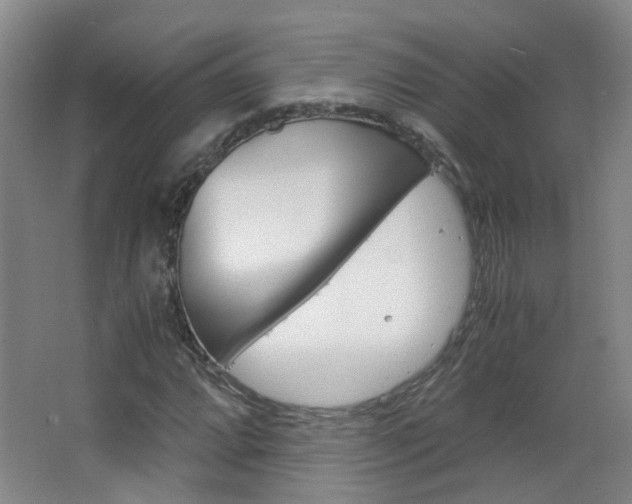 X0000063521064200601201119