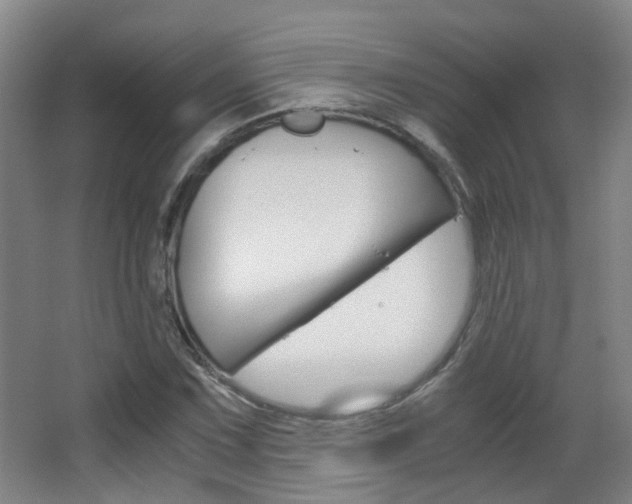 X0000063521067200601201119