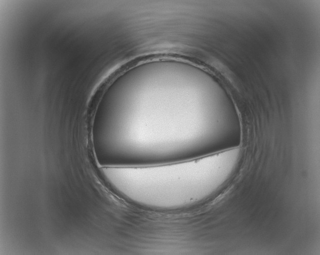 X0000063521069200601201119