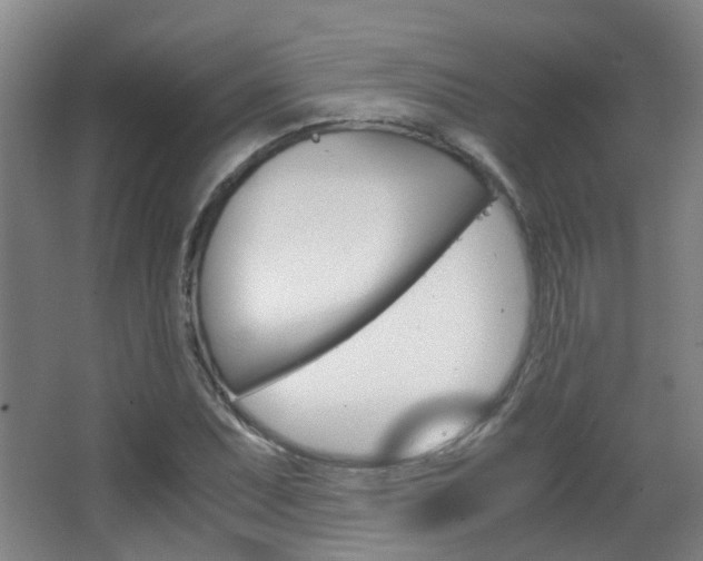 X0000063521071200601201119