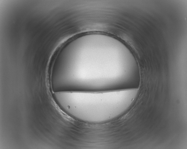 X0000063521072200601201119