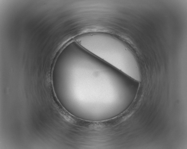 X0000063521073200601201119