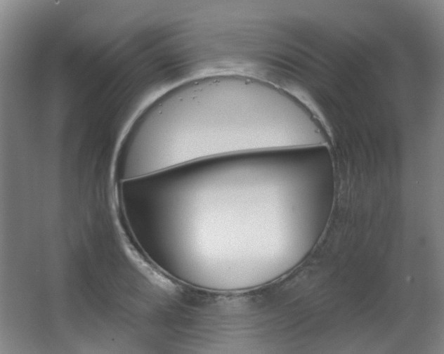 X0000063521080200601201119