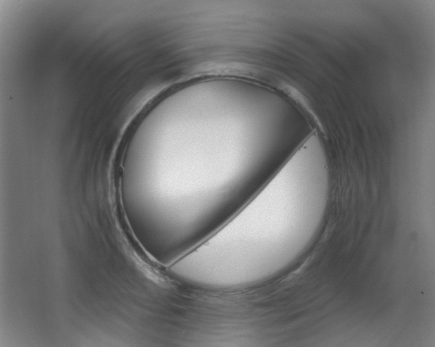 X0000063521082200601201119