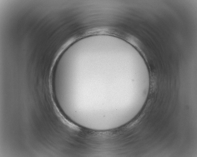 X0000063521090200601201119