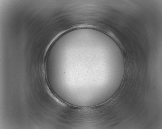 X0000063521092200601201119