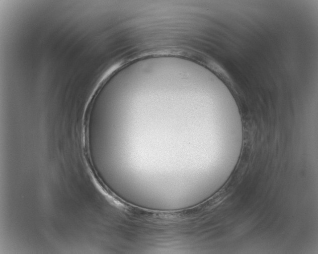 X0000063521095200601201119